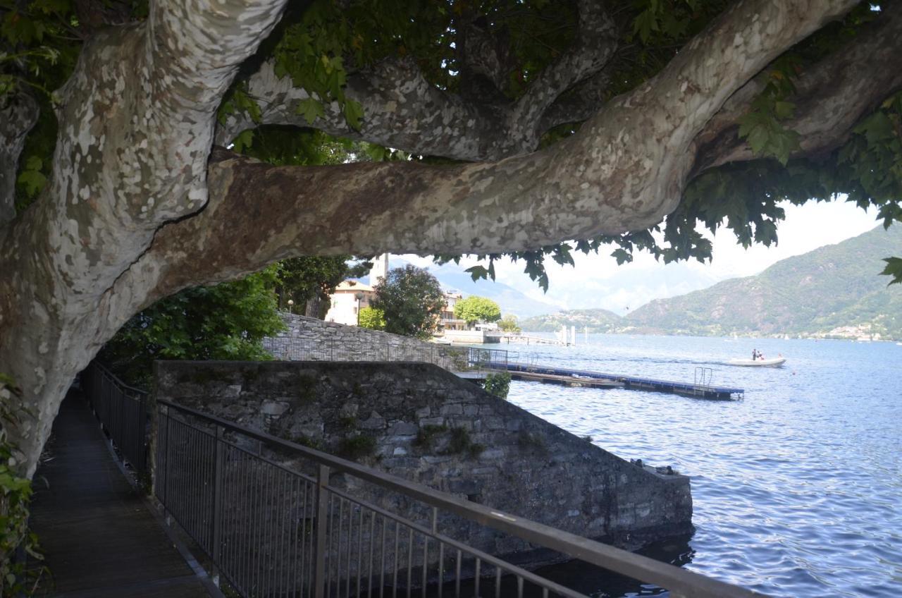 Anma Cottages The Secret Garden Pianello Del Lario Esterno foto