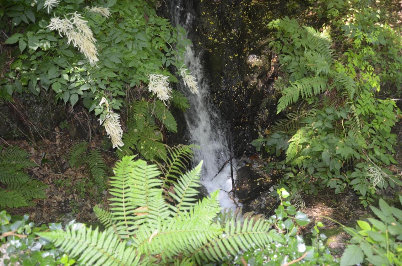 Anma Cottages The Secret Garden Pianello Del Lario Esterno foto