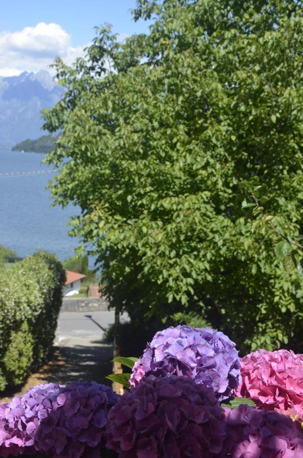 Anma Cottages The Secret Garden Pianello Del Lario Esterno foto