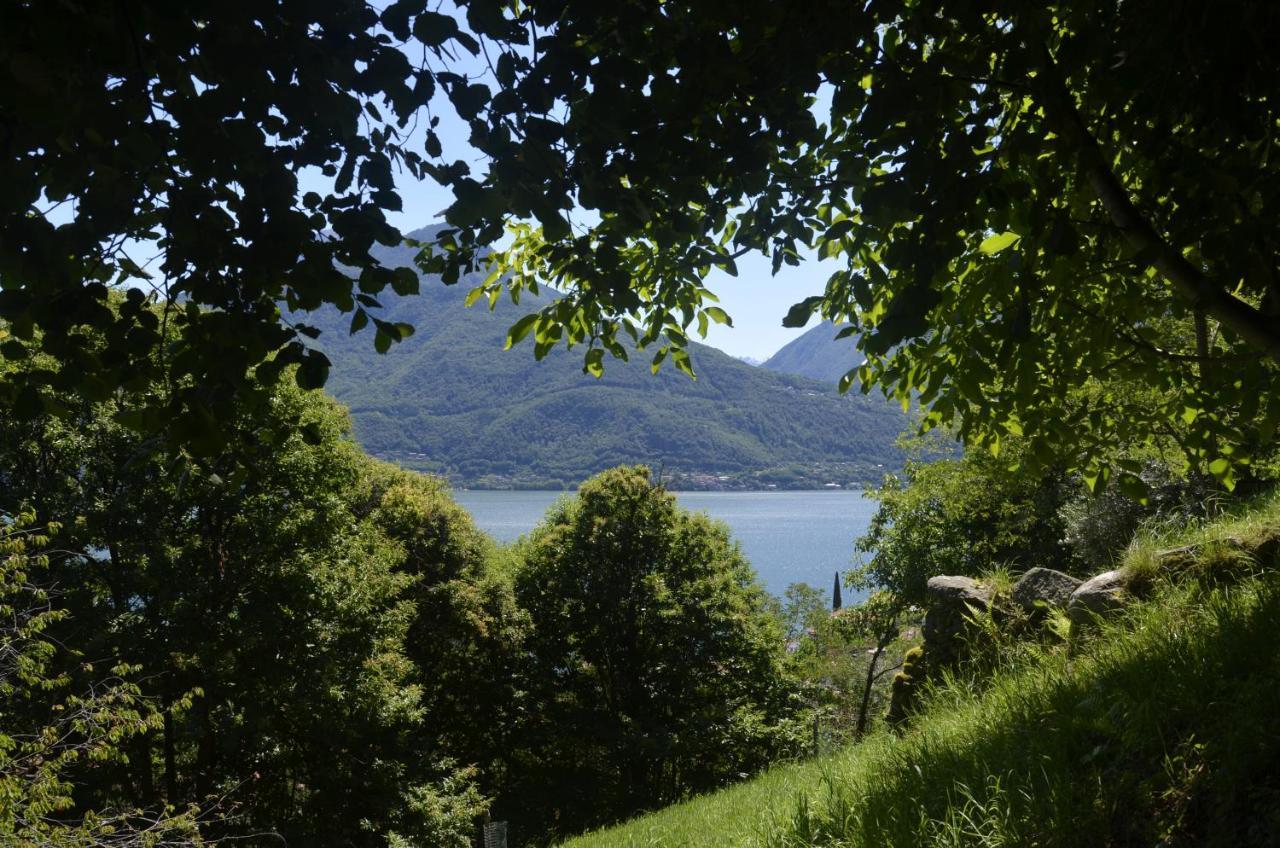 Anma Cottages The Secret Garden Pianello Del Lario Esterno foto